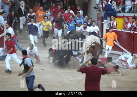 La charge des taureaux sur un groupe de coureurs dans l'entrée des arènes de Pampelune Banque D'Images