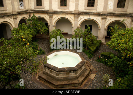 Patio des oranges dans l'ancien collège San Francisco Javier Tlalnepantla, Mexique. Banque D'Images