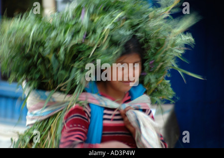 Femme péruvienne portant une grande charge sur ses épaules Banque D'Images