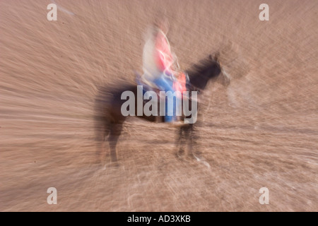 Chevaux de rodéo de préchauffage en préparation de Tucson rodeo Banque D'Images