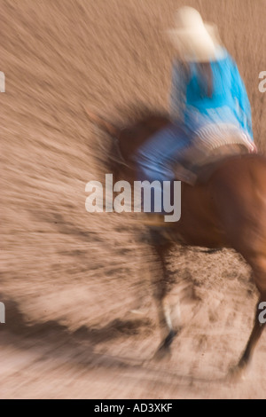 Chevaux de rodéo de préchauffage en préparation de Tucson rodeo Banque D'Images