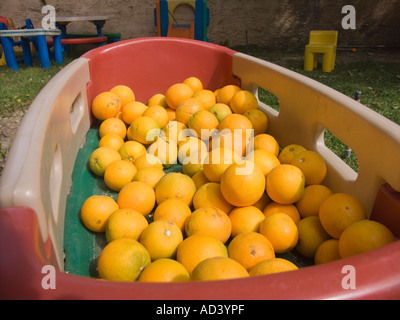 Les oranges dans les petits enfants wagon Banque D'Images