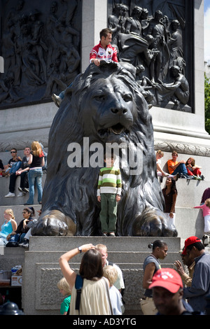 Les Lions sous Nelsons Column Trafalgar Square London England Banque D'Images