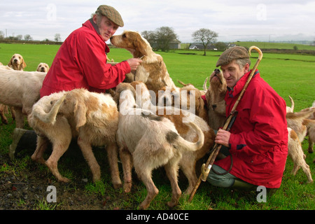 Les Maîtres de l'Irfon Towy chasser dehors avec leurs chiens sur les terres agricoles près de Llanwrtyd Wells Powys Pays de Galles UK GO Banque D'Images