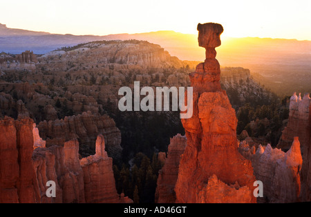 Thors Hammer, Parc National de Bryce Canyon, Utah, États-Unis d'Amérique, USA Banque D'Images