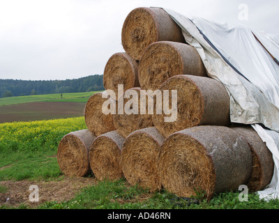 Balles de foin empilées sur un champ, Odenwald, Allemagne Banque D'Images