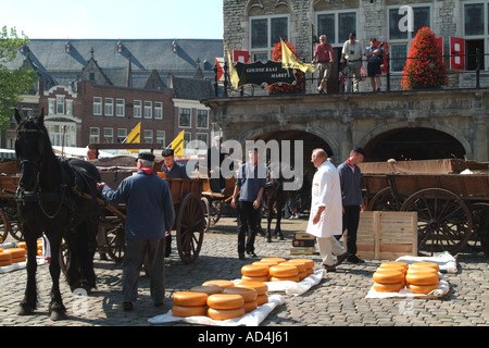 Le marché du fromage traditionnel à l'hôtel de ville à Gouda Holland aux Pays-Bas. Cheval et panier chargé avec des fromages Banque D'Images