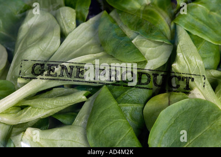 Un paquet de salade de maïs estampillés 'produit' des gènes Banque D'Images