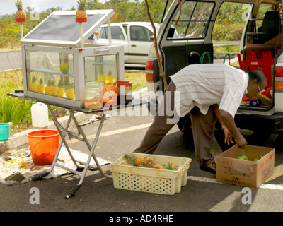 Maurice Charmarel Man Selling Ananas Pelé Prêt de voiture au parking d'amorçage Banque D'Images