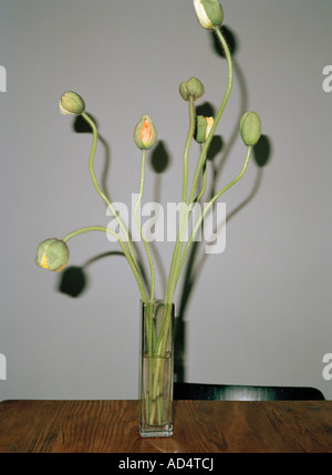 Coquelicots dans un vase sur une table Banque D'Images