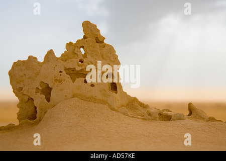 Close up rock érodé tout petit par le vent, sol du désert, en route vers Gilf Kebir, désert du Sahara. L'Égypte. Banque D'Images