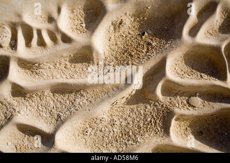 Close up of texture rock en route vers le désert du Sahara, l'Egypte Gilf Kebir. Banque D'Images