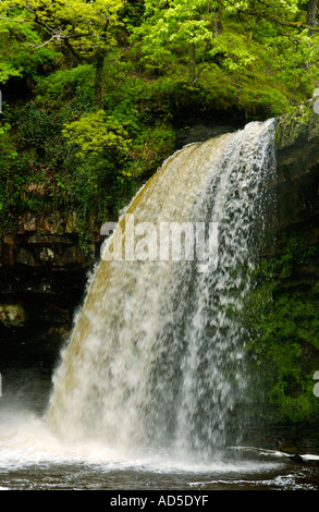 Sgwd Gwladus ou Lady Falls sur la rivière Afon Pyrddin Pontneddfechan près de South Wales UK UE GO Banque D'Images