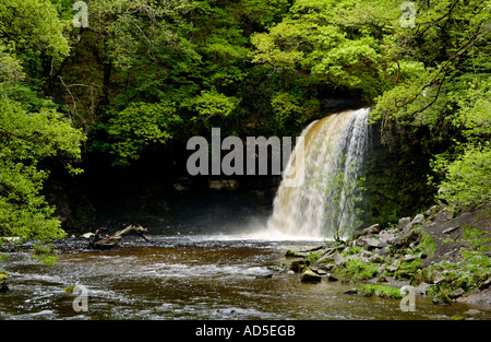 Sgwd Gwladus ou Lady Falls sur la rivière Afon Pyrddin Pontneddfechan près de South Wales UK UE GO Banque D'Images