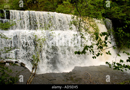 Sgwd Uchaf Oisans gwyn chute d'Afon Mellte, près de Pontneddfechan South Wales UK UE GO Banque D'Images