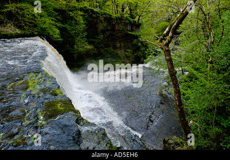 Sgwd Uchaf Oisans gwyn chute d'Afon Mellte, près de Pontneddfechan South Wales UK UE GO Banque D'Images