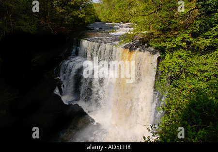 Sgwd Uchaf Oisans gwyn chute d'Afon Mellte, près de Pontneddfechan South Wales UK UE GO Banque D'Images