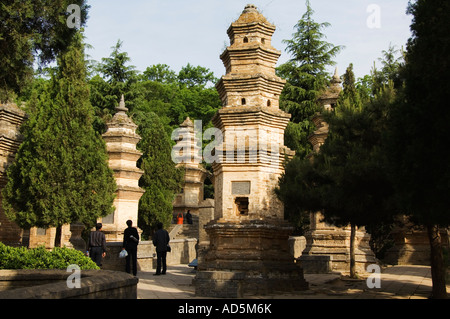 Au cimetière de la forêt de la Pagode du Temple Shaoling le berceau du Kung Fu Shaolin arts martiaux de la province de Henan Chine Banque D'Images