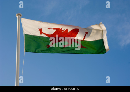 Drapeau gallois montrant le dragon rouge, le ddraig goch battant sur la promenade à Aberystwyth Banque D'Images