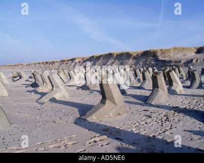 La protection de la côte du Jutland au Danemark Banque D'Images