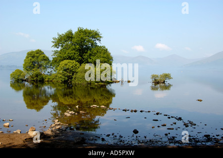 L'îlot rocheux avec des arbres sur le Loch Lomond sur un début de juin Matin brumeux avec une légère brume sur l'eau Banque D'Images