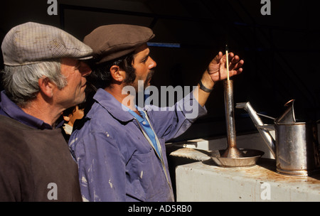 Portugal douro valley port wine homme hommes raisins test Banque D'Images