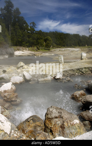 L'activité thermique volcanique à Furnas Lake île de São Miguel Açores Banque D'Images