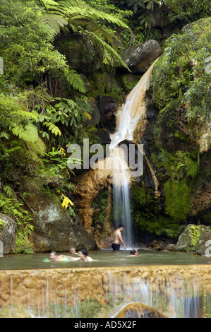 Sex cascade et bassin de baignade à Caldeira Velha Sao Miguel island Azores Banque D'Images