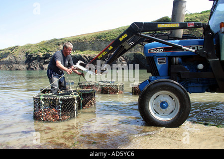 Mettre en pots magasin à Port Gaverne près de Tintagel Cornwall UK Banque D'Images