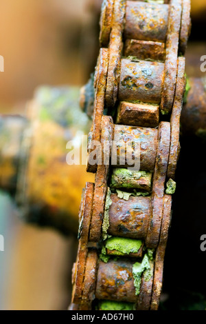 Close-up de la chaîne rouillée, partie de l'ancienne machinerie agricole. L'Ecosse Banque D'Images