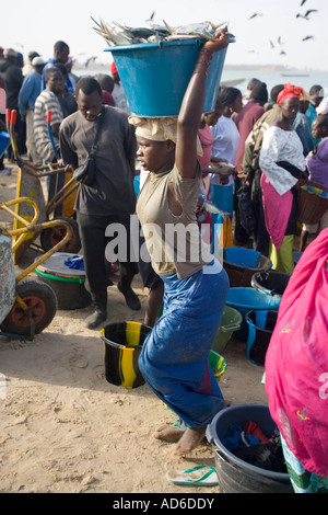 Les jeunes femmes portent des bassins de poissons frais sur la tête de plage sur le marché aussi ouvrir les bateaux de pêche arrivent avec la Gambie Tanji capture Banque D'Images