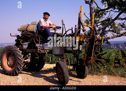 France Bourgogne vin vieux fermier tracteur man Bourgogne Banque D'Images