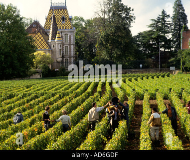 Aloxe Corton château Corton André wine vineyard winery vintage French France Bourgogne Banque D'Images