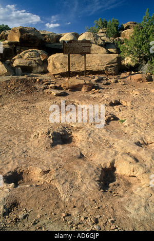 Traces de dinosaures fossilisées Brontosaurus illustré traversant un ancien lit de rivière au nord de Moab, près de la route 191 dans l'UTAH Banque D'Images