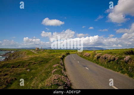 L'ancienne mine de cuivre Bâtiments à Tankardstown dans l'UNESCO a désigné Copper Coast Geopark dans le comté de Waterford, Irlande Banque D'Images