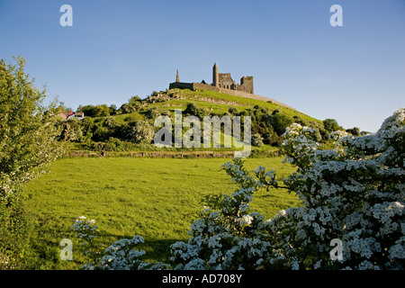 Rocher de Cashel, site d'un bastion monastique datant de 4th à 12th siècles, en dehors de la ville de Cashel, comté de Tipperary, Irlande Banque D'Images