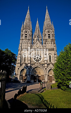 L'entrée principale à la 19e siècle St Fin Barre's Cathedral, la ville de Cork, County Cork, Ireland Banque D'Images