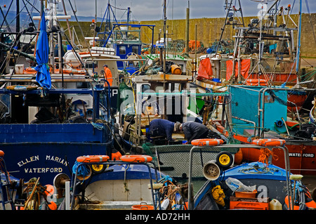 Port de pêche Helvick, bague Gaeltacht (région de langue gaélique) Comté de Waterford, Irlande Banque D'Images