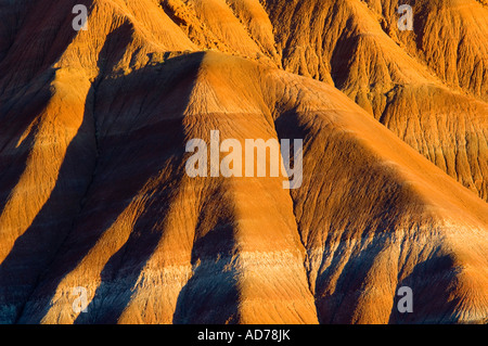 Coucher du soleil la lumière sur les sédiments stratifiés rock sur collines érodées le long de la Cockscomb Grand Staircase Escalante National Monument Utah Banque D'Images