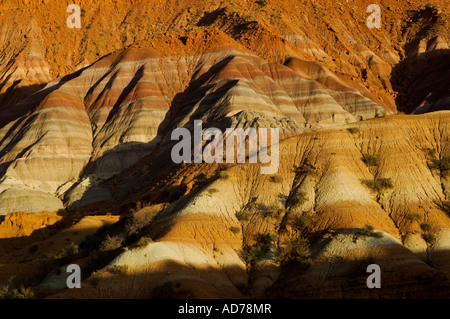 Coucher du soleil la lumière sur les sédiments stratifiés rock sur collines érodées le long de la Cockscomb Grand Staircase Escalante National Monument Utah Banque D'Images