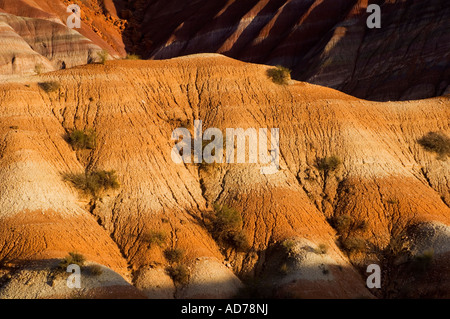 Coucher du soleil la lumière sur les sédiments stratifiés rock sur collines érodées le long de la Cockscomb Grand Staircase Escalante National Monument Utah Banque D'Images