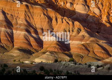 Coucher du soleil la lumière sur les sédiments stratifiés rock sur collines érodées le long de la Cockscomb Grand Staircase Escalante National Monument Utah Banque D'Images