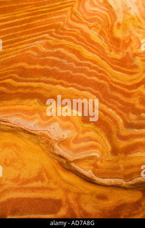 Formations de grès strié au Wave Coyote Buttes Paria Vermilion Cliffs Wilderness Arizona Canyon Banque D'Images