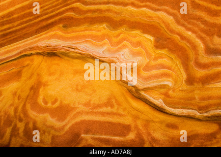 Formations de grès strié au Wave Coyote Buttes Paria Vermilion Cliffs Wilderness Arizona Canyon Banque D'Images