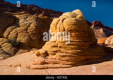 Formations de grès couche striée au Coyote Buttes Paria Vermilion Cliffs Wilderness Arizona Canyon Banque D'Images