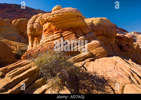 Formations de grès couche striée au Coyote Buttes Paria Vermilion Cliffs Wilderness Arizona Canyon Banque D'Images