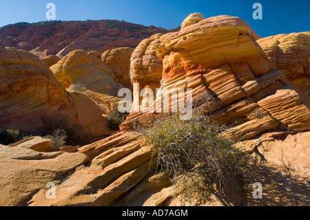 Formations de grès couche striée au Coyote Buttes Paria Vermilion Cliffs Wilderness Arizona Canyon Banque D'Images