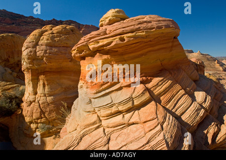 Formations de grès couche striée au Coyote Buttes Paria Vermilion Cliffs Wilderness Arizona Canyon Banque D'Images