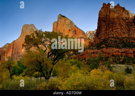 La lumière du matin sur la Cour des patriarches Zion Canyon Zion National Park Utah Banque D'Images