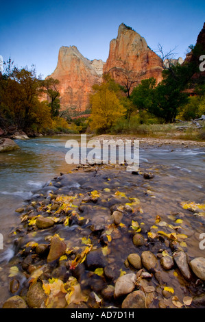 La lumière du matin sur la Cour des patriarches au-dessus de la Virgin River Canyon Zion Zion National Park Utah Banque D'Images